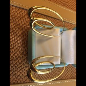 18k Gold Michael Good Anticlastic Earrings